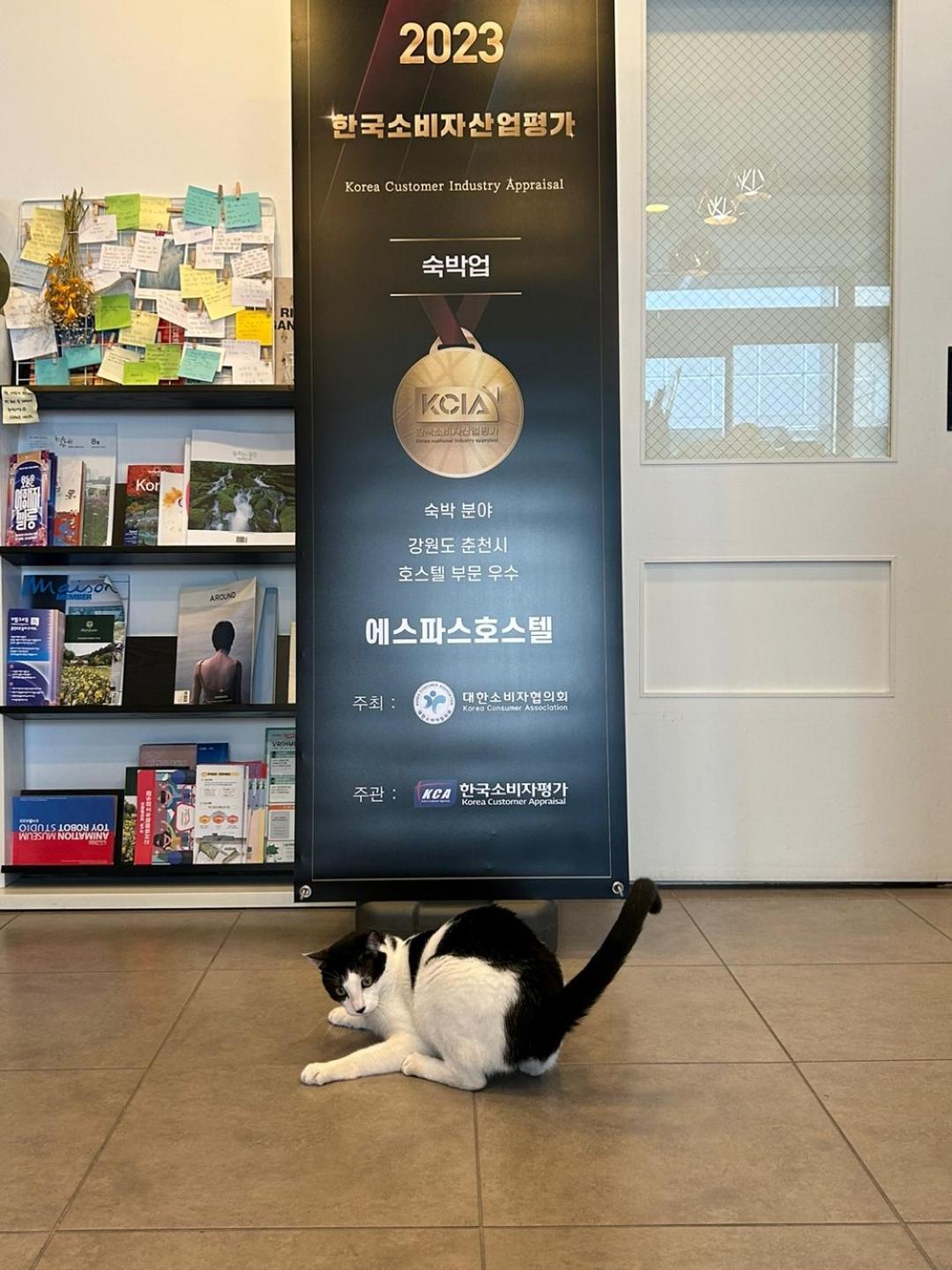 春川 艾斯佩斯青年旅馆旅舍 外观 照片